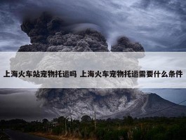 上海火车站宠物托运吗 上海火车宠物托运需要什么条件