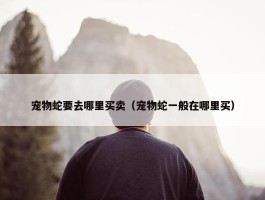 宠物蛇要去哪里买卖（宠物蛇一般在哪里买）