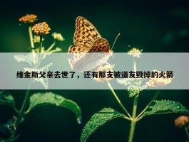 维金斯父亲去世了，还有那支被道友毁掉的火箭