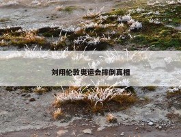 刘翔伦敦奥运会摔倒真相