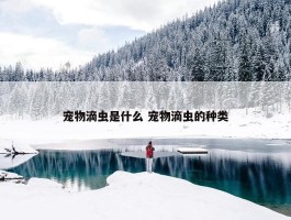 宠物滴虫是什么 宠物滴虫的种类