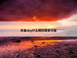 抖音sky什么梗的简单介绍