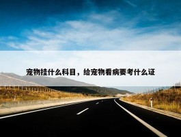 宠物挂什么科目，给宠物看病要考什么证