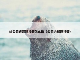 给公司运营短视频怎么做（公司内部短视频）