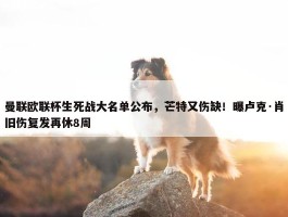 曼联欧联杯生死战大名单公布，芒特又伤缺！曝卢克·肖旧伤复发再休8周