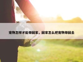 宠物怎样才能带回家，回家怎么把宠物带回去