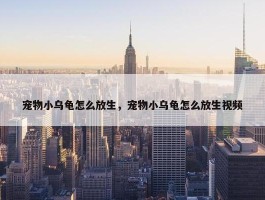 宠物小乌龟怎么放生，宠物小乌龟怎么放生视频