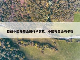 目前中国残奥会排行榜第几，中国残奥会有多强