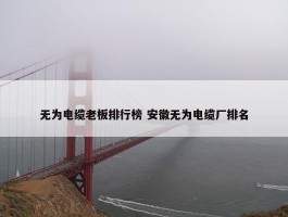 无为电缆老板排行榜 安徽无为电缆厂排名