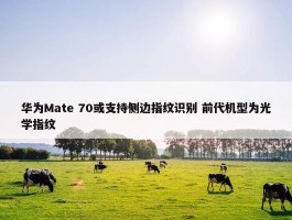 华为Mate 70或支持侧边指纹识别 前代机型为光学指纹