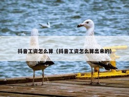 抖音工资怎么算（抖音工资怎么算出来的）