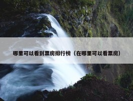 哪里可以看到票房排行榜（在哪里可以看票房）