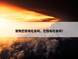 宠物巴西龟吃鱼吗，巴西龟吃鱼吗?