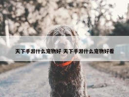 天下手游什么宠物好 天下手游什么宠物好看