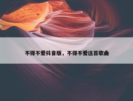 不得不爱抖音版，不得不爱这首歌曲