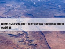 森林狼GM谈交易唐斯：新的劳资协议下球队阵容深度越来越重要