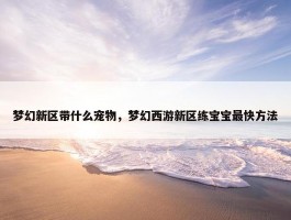 梦幻新区带什么宠物，梦幻西游新区练宝宝最快方法