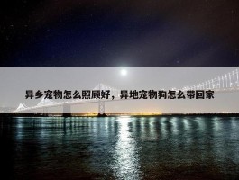 异乡宠物怎么照顾好，异地宠物狗怎么带回家