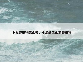 小龙虾宠物怎么养，小龙虾怎么家养宠物