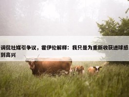 调侃社媒引争议，霍伊伦解释：我只是为重新收获进球感到高兴