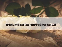 弹弹堂3宠物怎么获取 弹弹堂3宠物装备怎么装