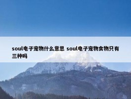 soul电子宠物什么意思 soul电子宠物食物只有三种吗