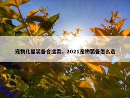 宠物几星装备合适卖，2021宠物装备怎么选