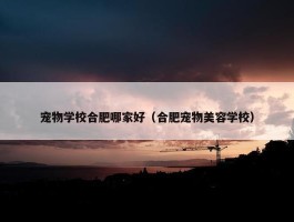 宠物学校合肥哪家好（合肥宠物美容学校）