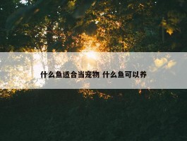 什么鱼适合当宠物 什么鱼可以养