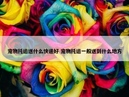 宠物托运送什么快递好 宠物托运一般送到什么地方