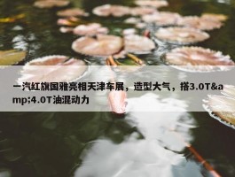 一汽红旗国雅亮相天津车展，造型大气，搭3.0T&4.0T油混动力