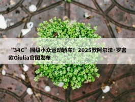 “34C”同级小众运动轿车！2025款阿尔法·罗密欧Giulia官图发布