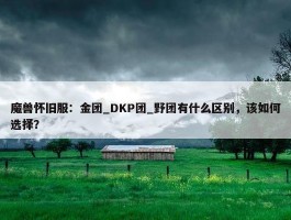 魔兽怀旧服：金团_DKP团_野团有什么区别，该如何选择？