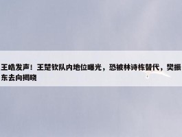 王皓发声！王楚钦队内地位曝光，恐被林诗栋替代，樊振东去向揭晓