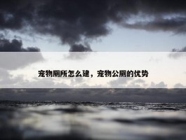 宠物厕所怎么建，宠物公厕的优势