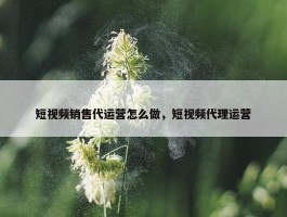 短视频销售代运营怎么做，短视频代理运营