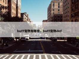 buff宠物有哪些，buff宠物dnf