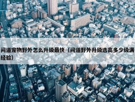 问道宠物野外怎么升级最快（问道野外升级选高多少级满经验）