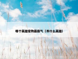 哪个英雄宠物最霸气（养什么英雄）