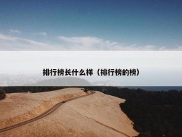 排行榜长什么样（排行榜的榜）