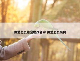 微爱怎么给宠物改名字 微爱怎么换狗