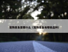 宠物章鱼需要什么（宠物章鱼有哪些品种）