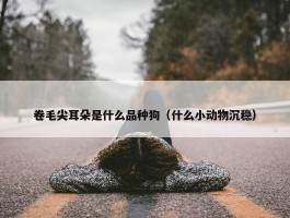 卷毛尖耳朵是什么品种狗（什么小动物沉稳）