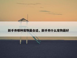 新手养哪种宠物最合适，新手养什么宠物最好