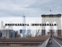 宠物的环境消毒是什么（宠物环境消毒剂怎么用）