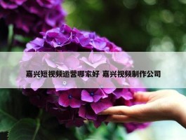 嘉兴短视频运营哪家好 嘉兴视频制作公司