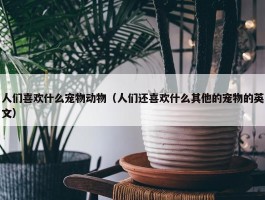 人们喜欢什么宠物动物（人们还喜欢什么其他的宠物的英文）