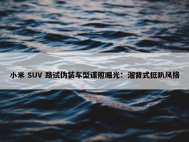 小米 SUV 路试伪装车型谍照曝光：溜背式低趴风格