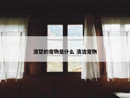 清楚的宠物是什么 清洁宠物