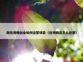 做短视频创业如何运营项目（短视频该怎么运营）